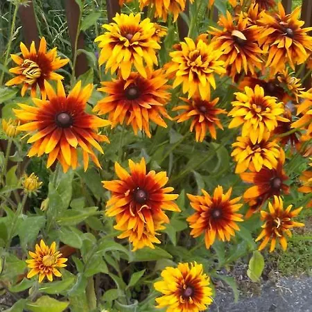 Burgblick-hardegg Apartman Hardegg