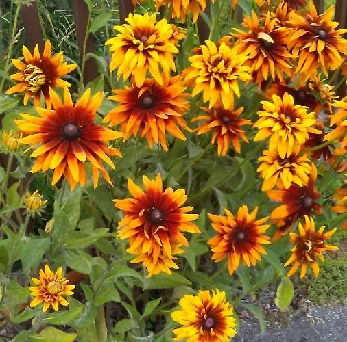 Burgblick-hardegg Apartamento Hardegg